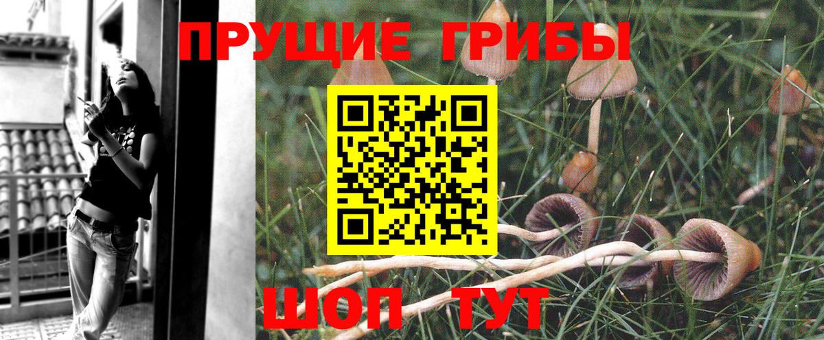 Галлюциногенные грибы мицелий Долгопрудный