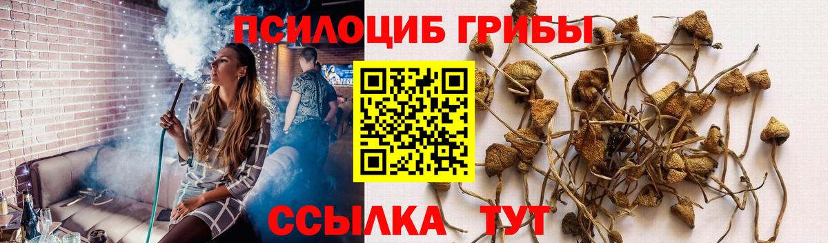 Галлюциногенные грибы прущие грибы  Вход с VPN  Псилоцибиновые грибы Magic Shrooms  Долгопрудный 